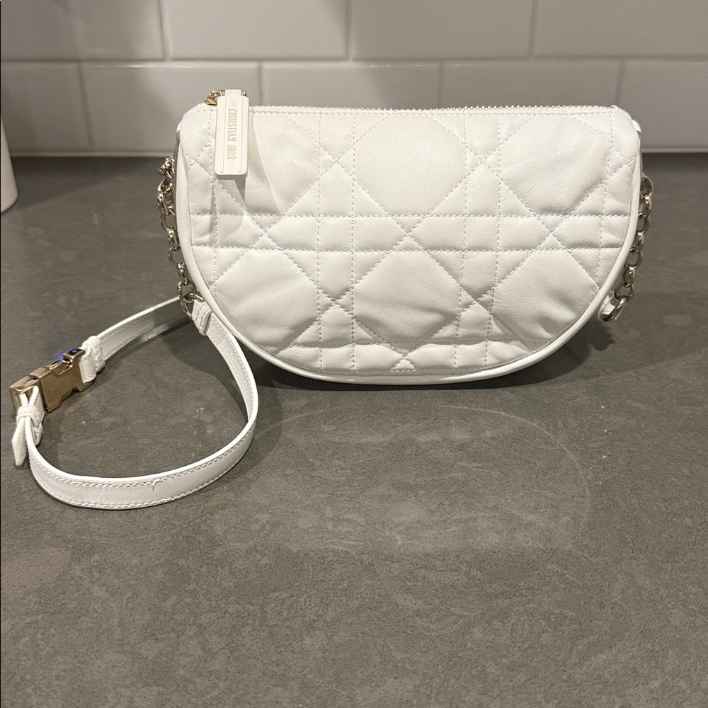 Christian Dior Cannage Vibe BumBag 2021